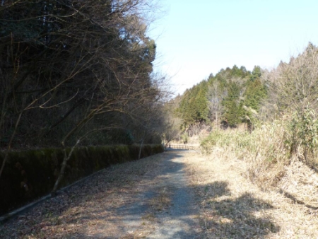 画像14